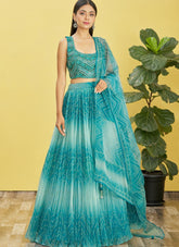 Embroidered Organza Lehenga in Blue